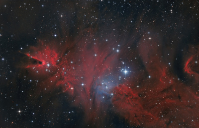 NGC 2264 Cone nebula