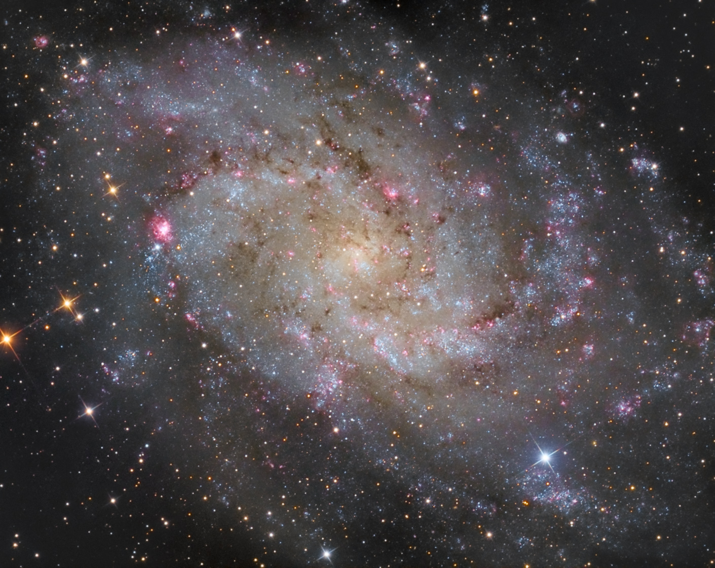 M33