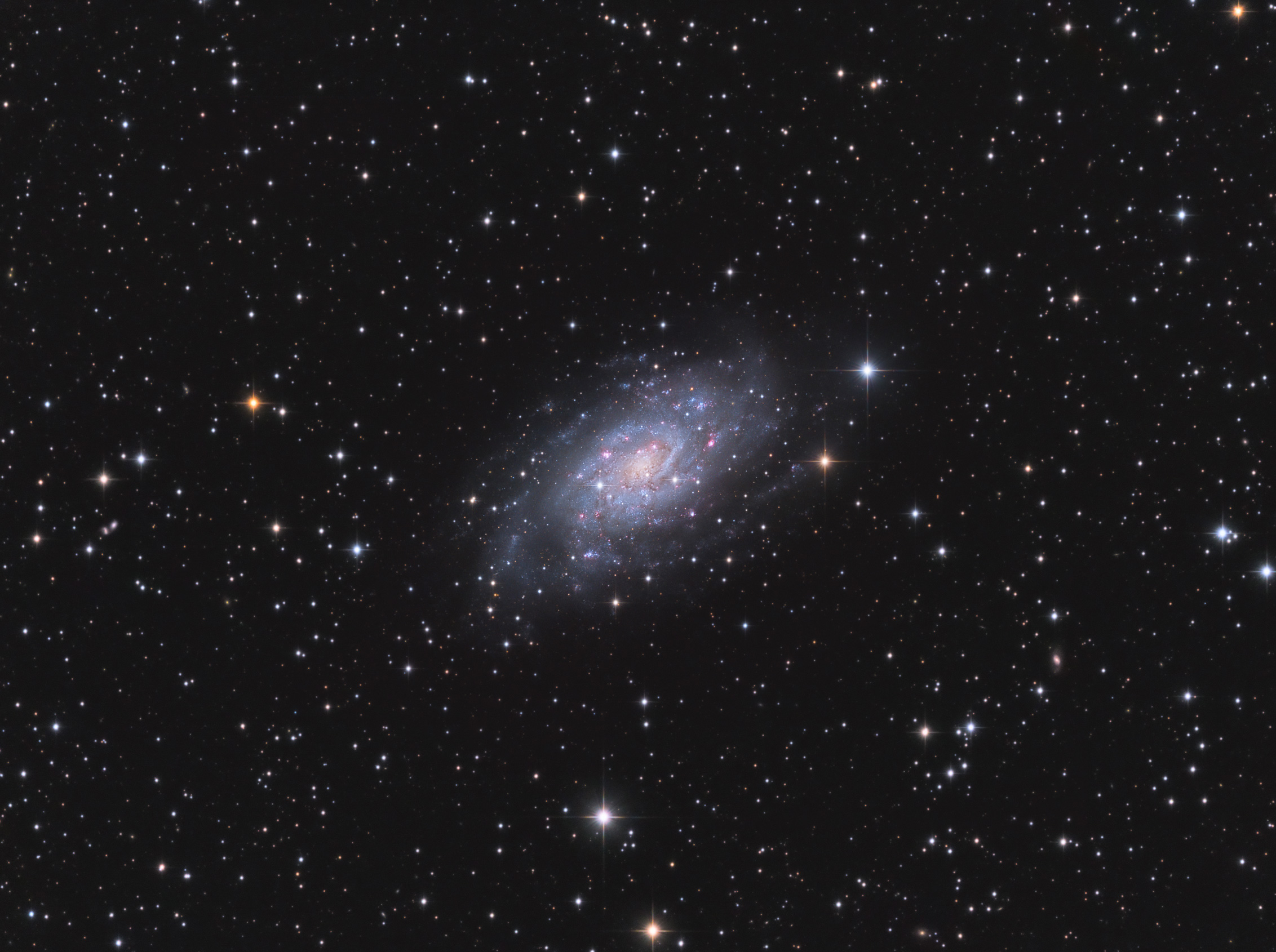 ngc2403