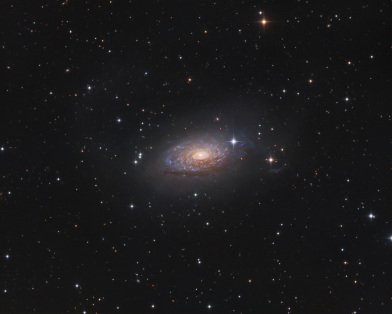 M63