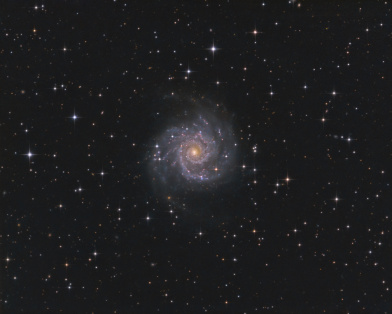 M74