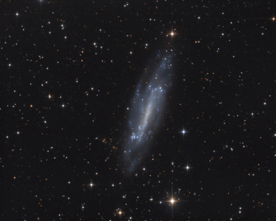 NGC 4236