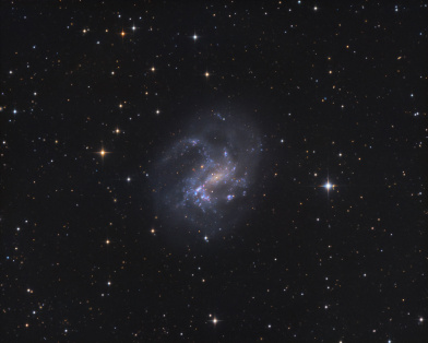 NGC 4395