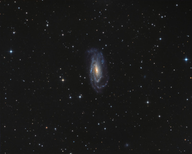 NGC 5033