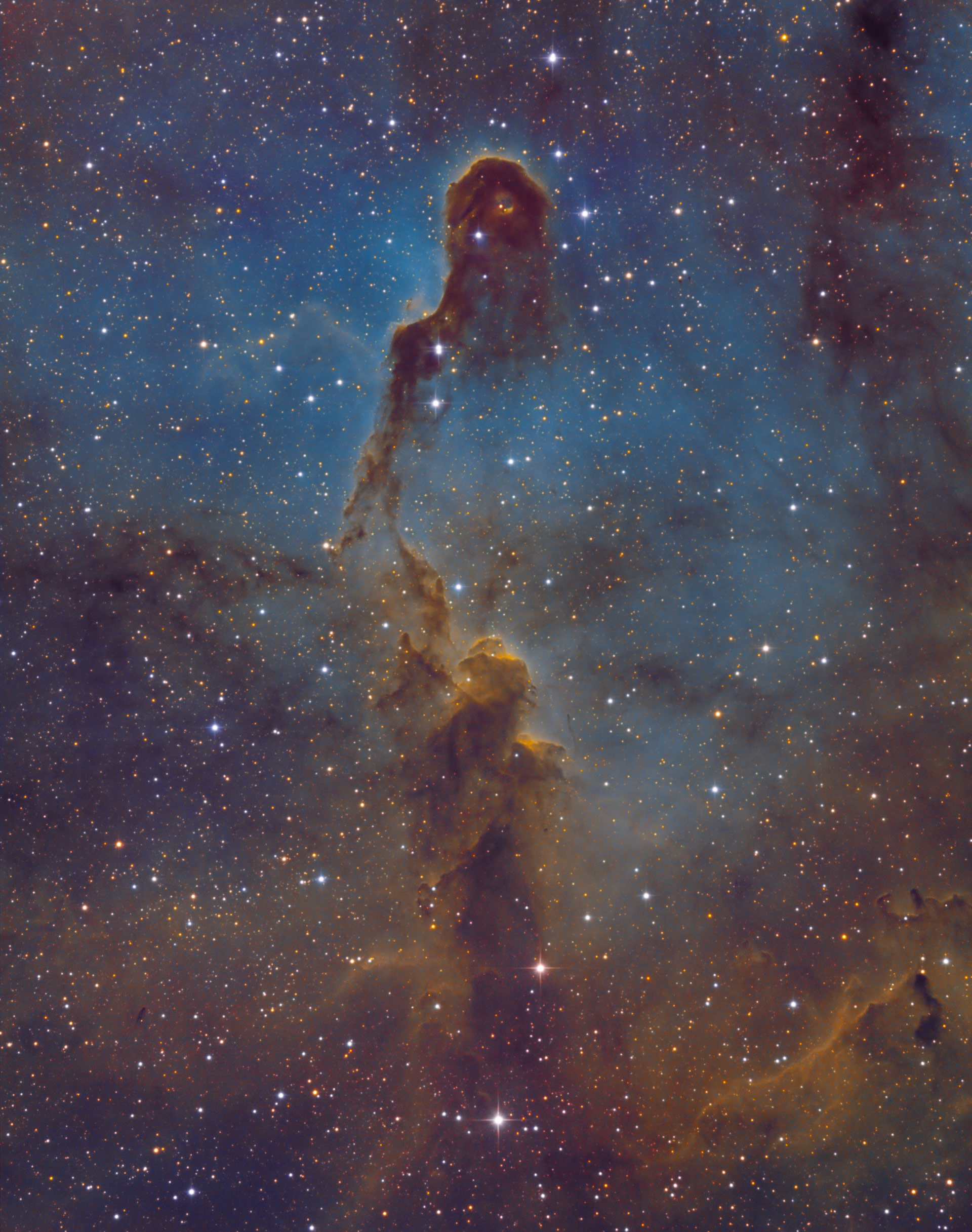 IC 1396A - Elephant trunk