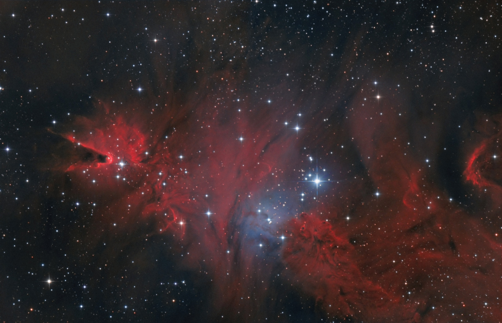 NGC 2264