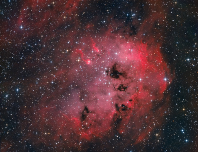 IC 410