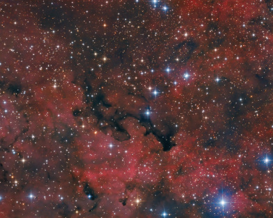 Barnard 344