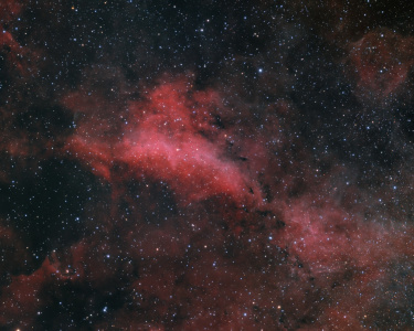 IC 1318 A im Cygnus