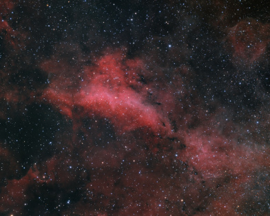 IC 1318 A in Cygnus