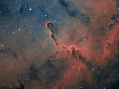 IC 1396 A - Elefantenrüssel