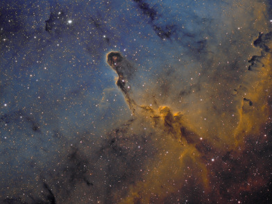 IC 1396 A - Elefantenrüssel