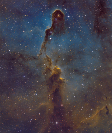 IC 1396 A - Elefantenrüssel