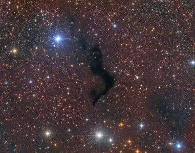 LDN 1164 - Barnard 174